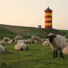 Abends am Pilsumer Leuchtturm