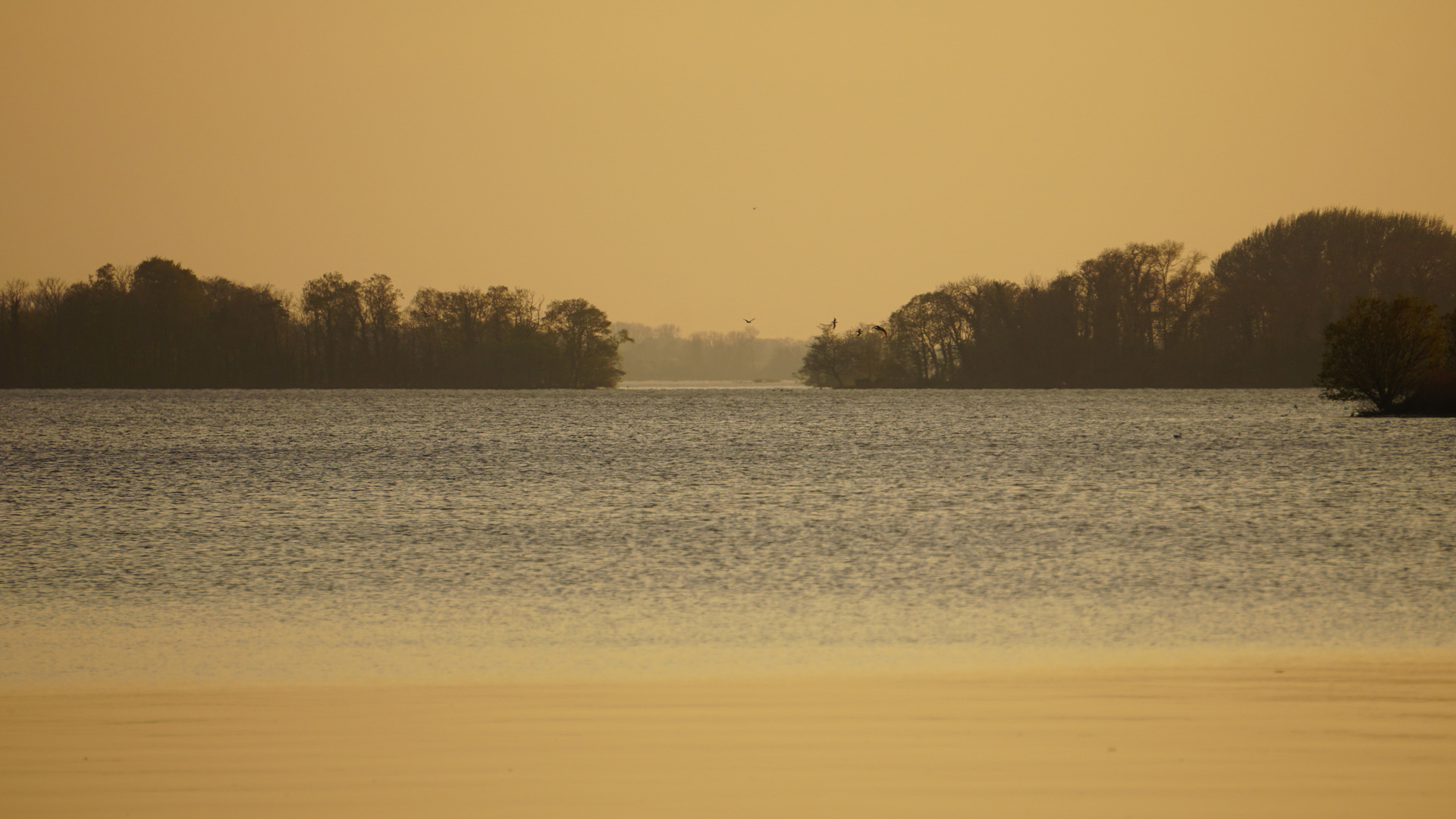 Abends am Plöner See 1