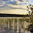 Abends am Rådasjön