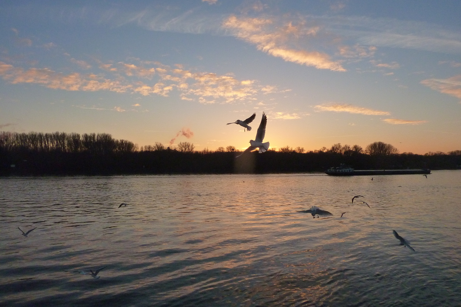 Abends am Rhein, 0 Grad