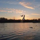 Abends am Rhein, 0 Grad