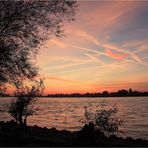 Abends am Rhein 1