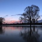 Abends am Rhein