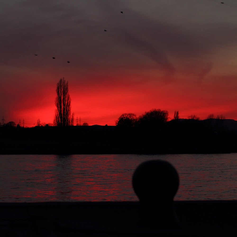 Abends am Rhein 3