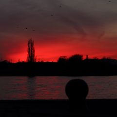 Abends am Rhein 3