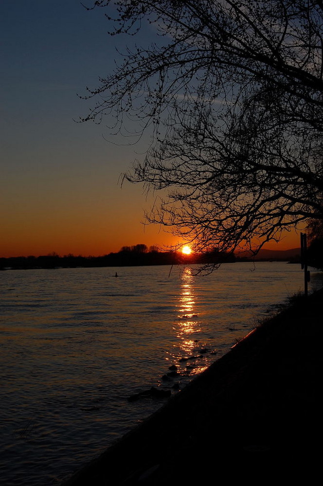 Abends am Rhein