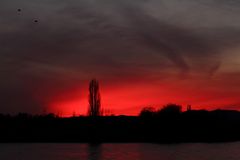 Abends am Rhein 4