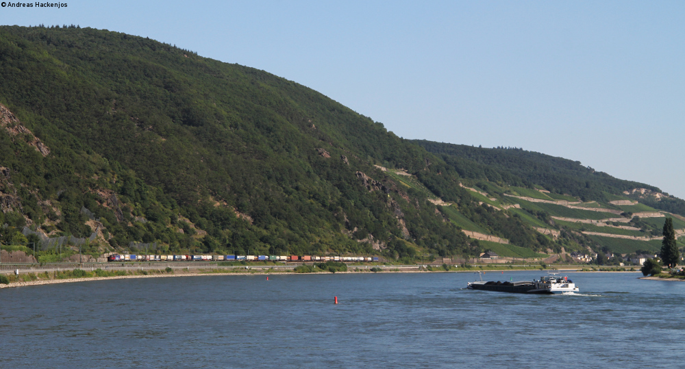 Abends am Rhein...