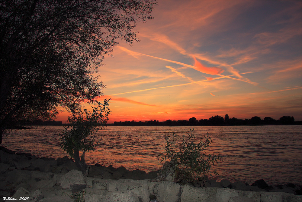 Abends am Rhein