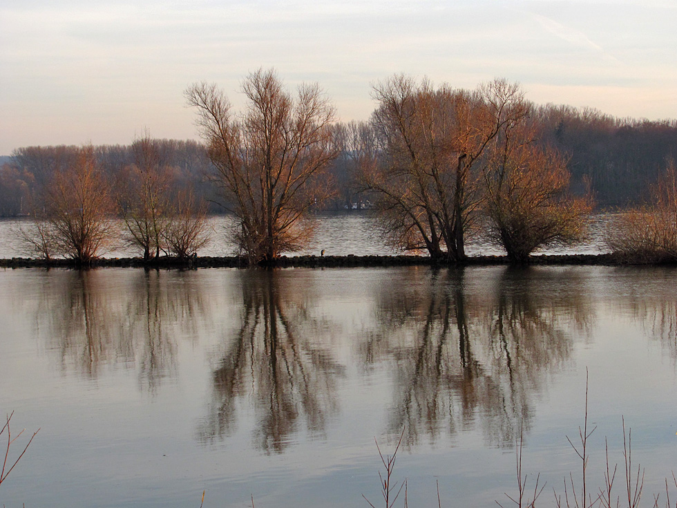 Abends am Rhein