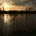 Abends am Rhein