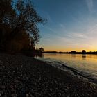 Abends am Rhein