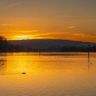 Abends am Rhein