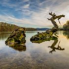 Abends am Rhein zwischen Schwörstadt und Rheinfelden 