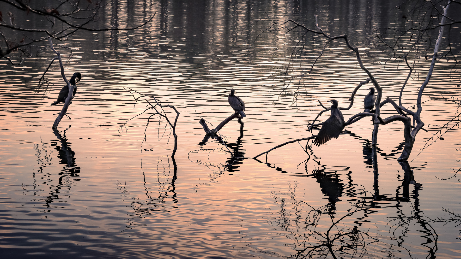 Abends am Schlachtensee