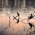 Abends am Schlachtensee