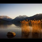 Abends am Schliersee