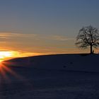 Abends am Schlittenberg