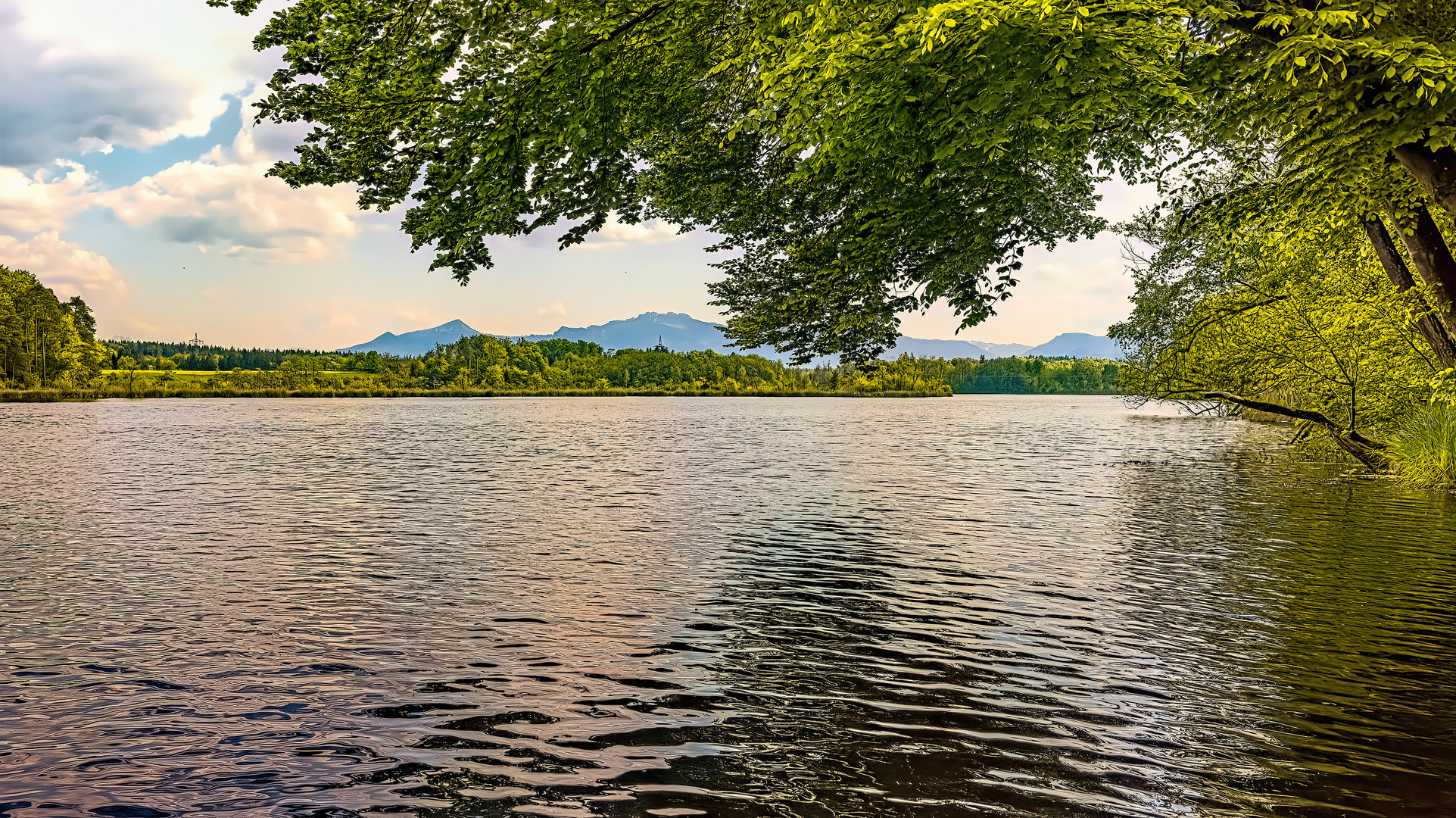 Abends am Schlosssee