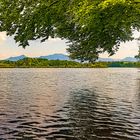 Abends am Schlosssee