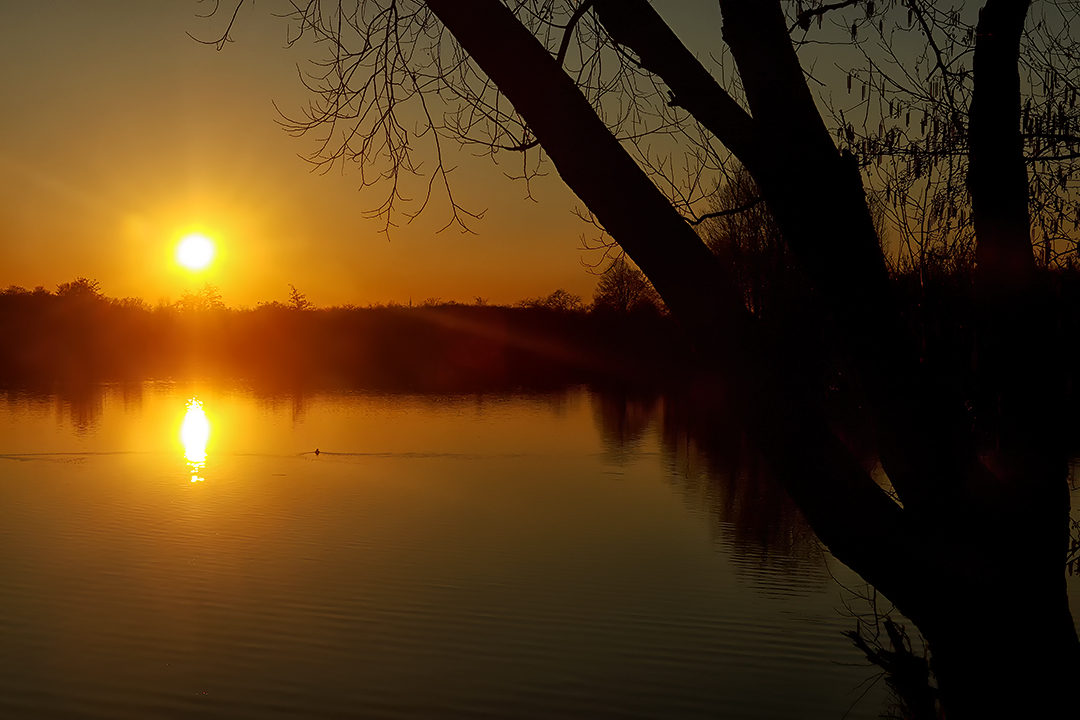 Abends am See