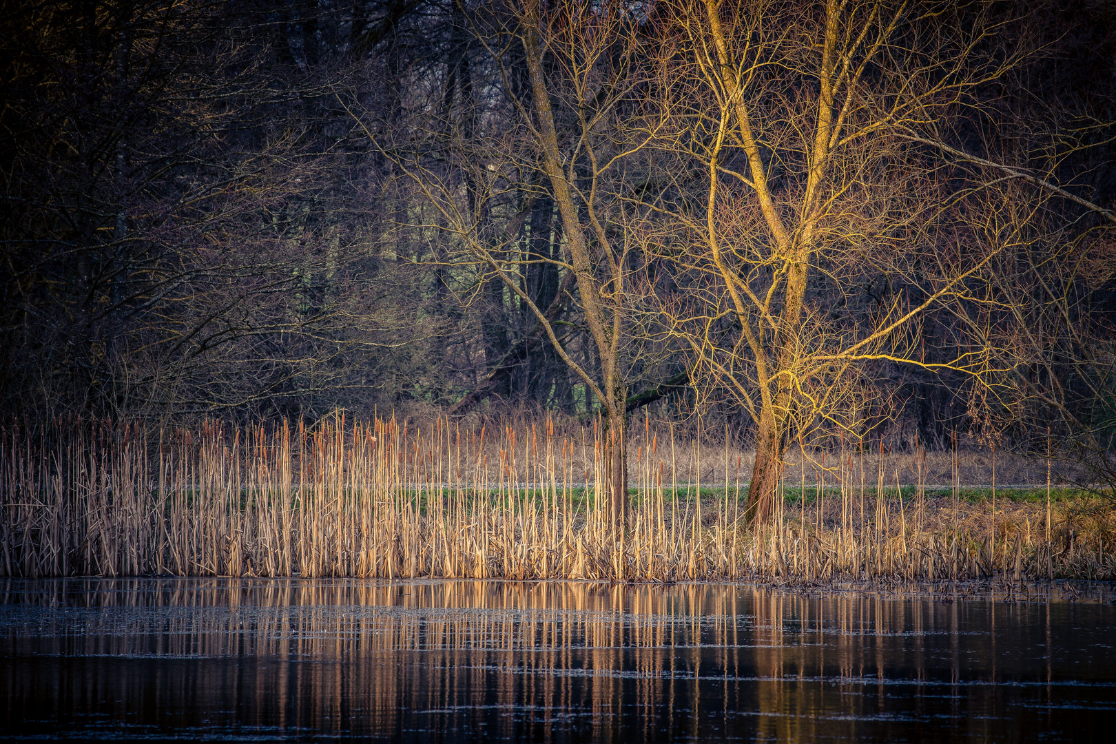 Abends am See