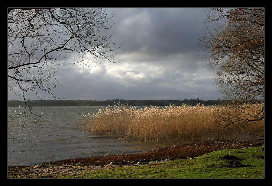 Abends am See...