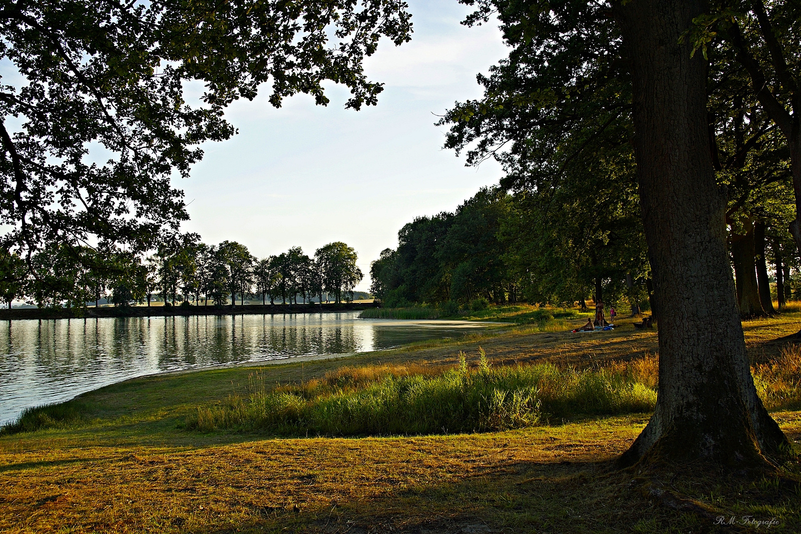 Abends am See 1