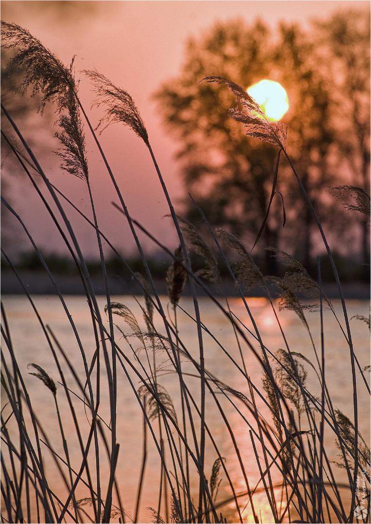 Abends am See