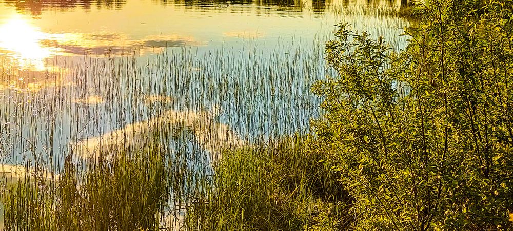 Abends am See