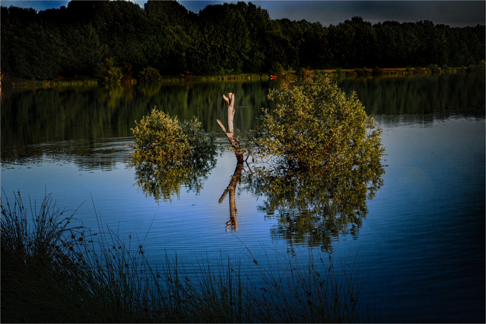 Abends am See