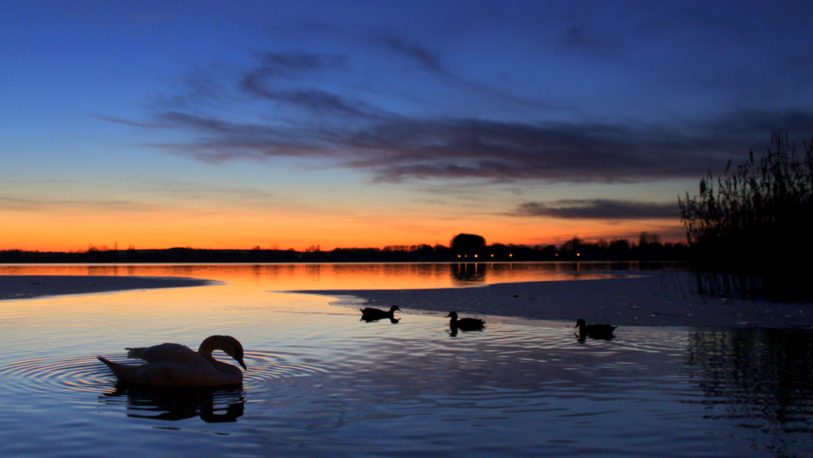 Abends am See