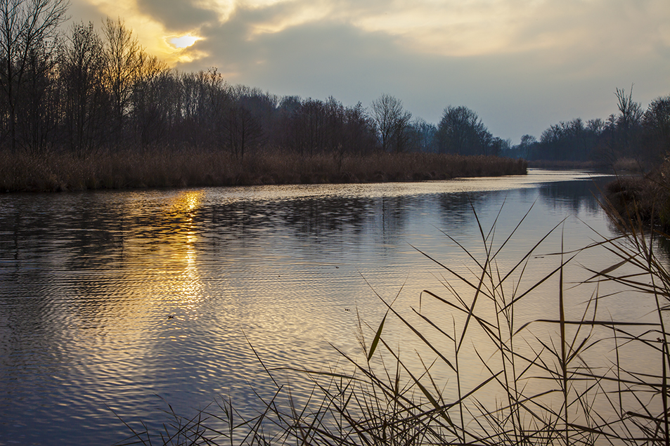 Abends am See