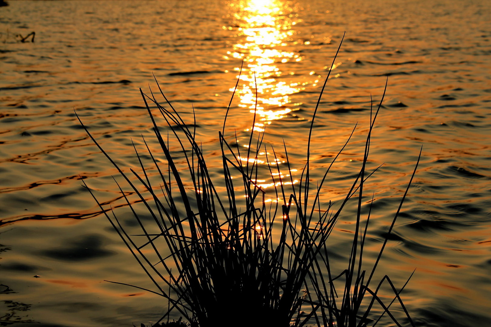 "Abends am See"