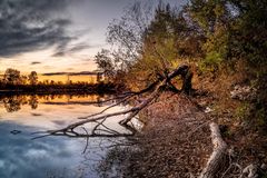 Abends am See 