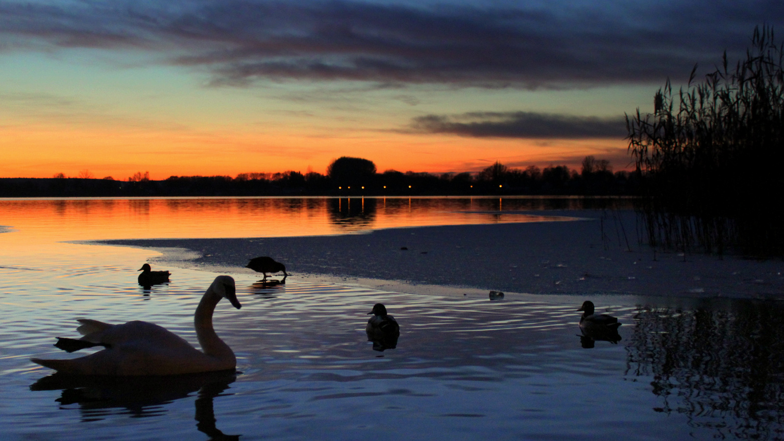 Abends am See