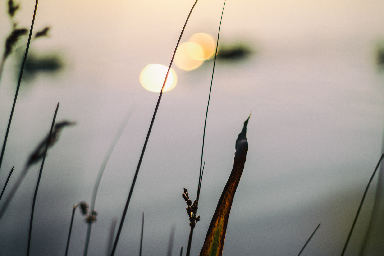 Abends am See