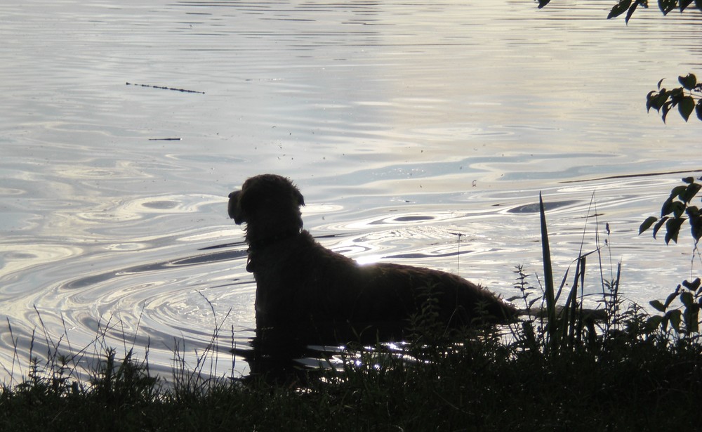 abends am see....