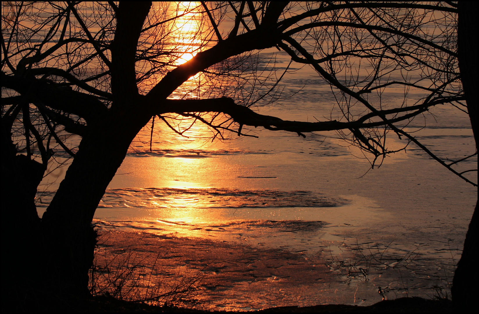 abends am See