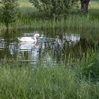 Abends am See 