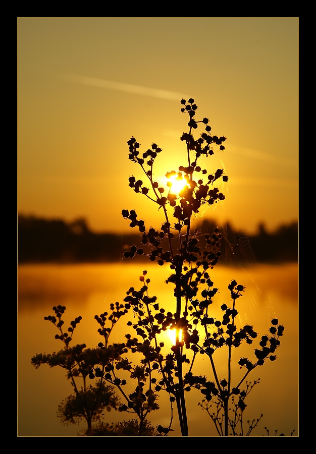 Abends am See