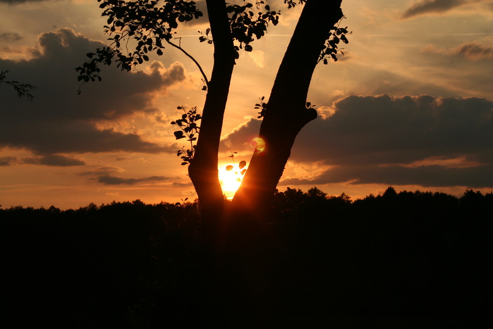 Abends am See