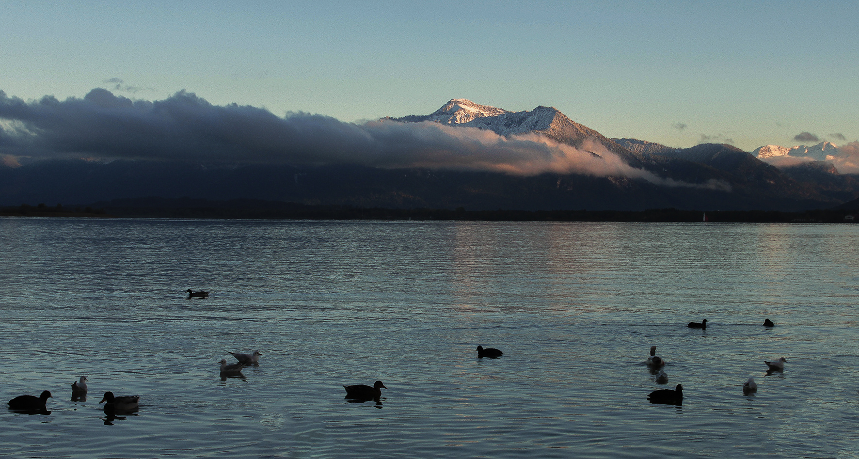 Abends am See ...