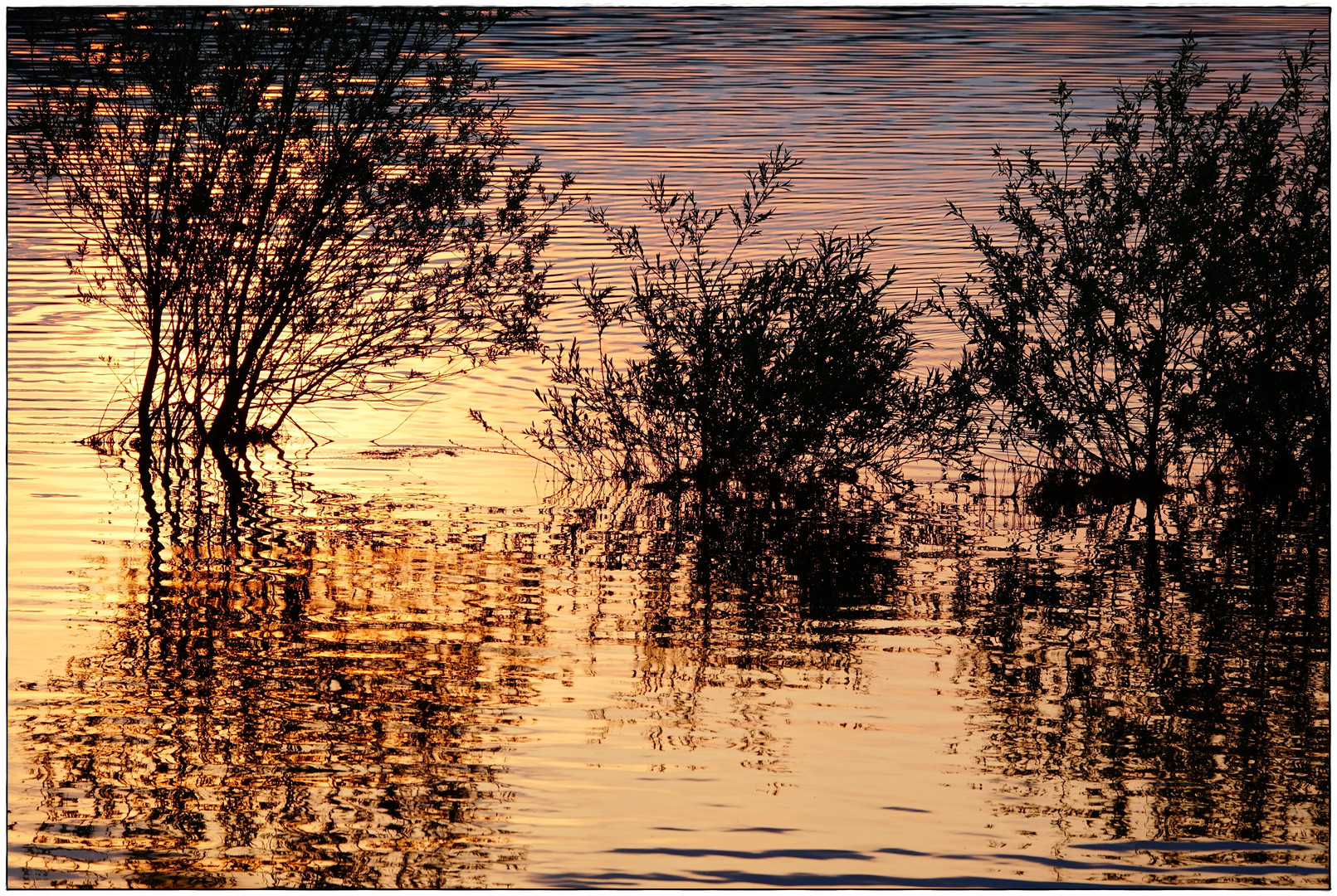 Abends am See