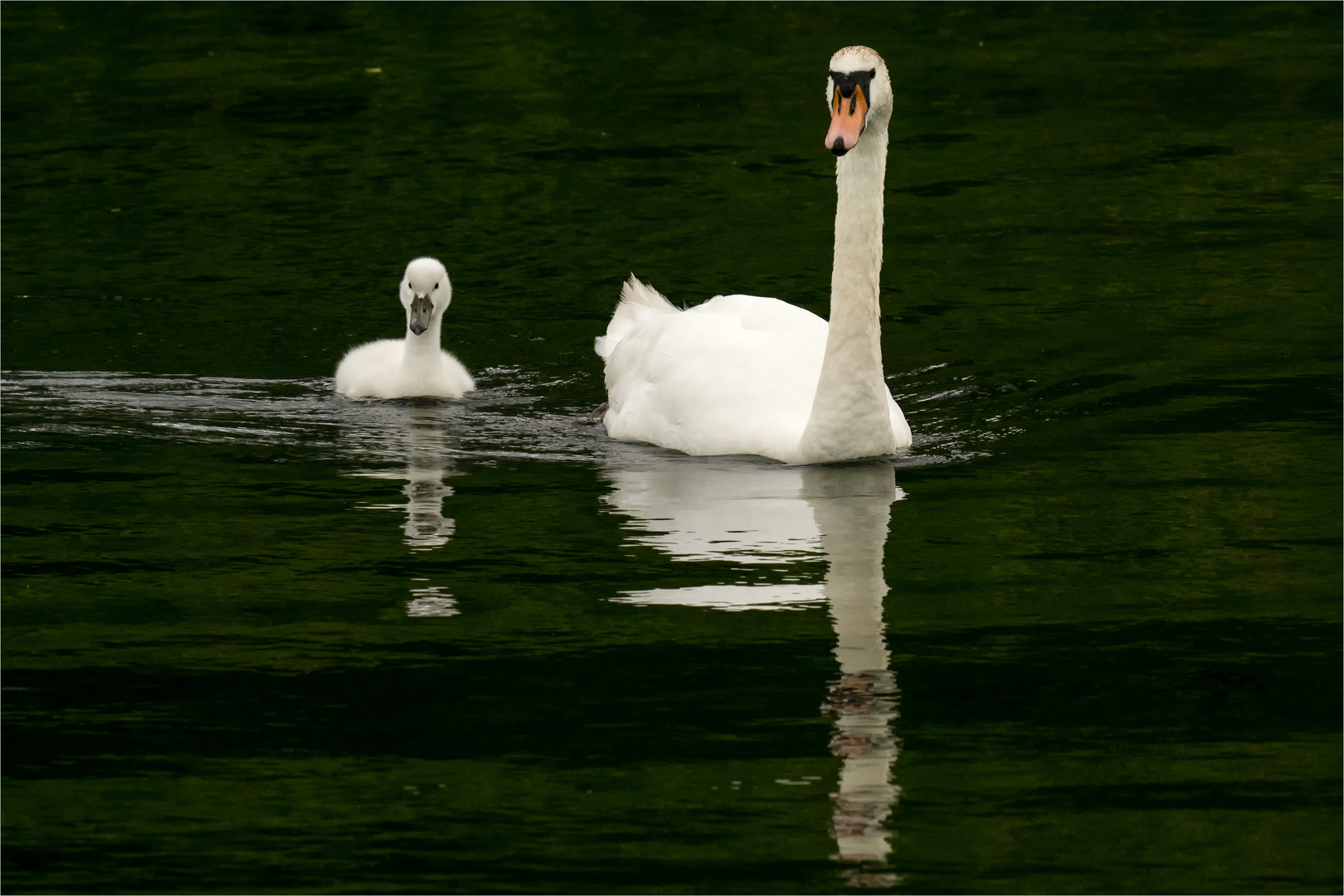 abends am See  .....