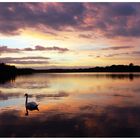 Abends am See