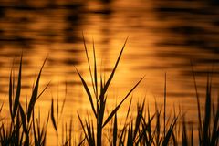 ~ ABENDS AM SEE ~