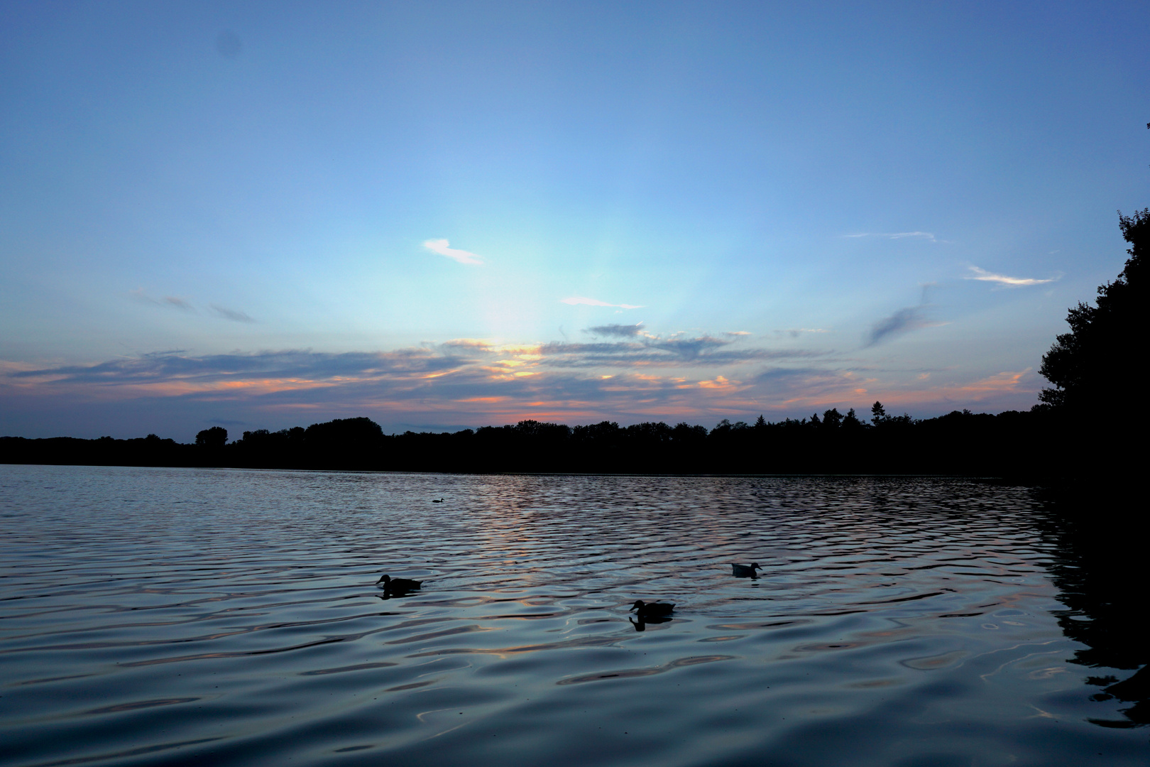 Abends am See