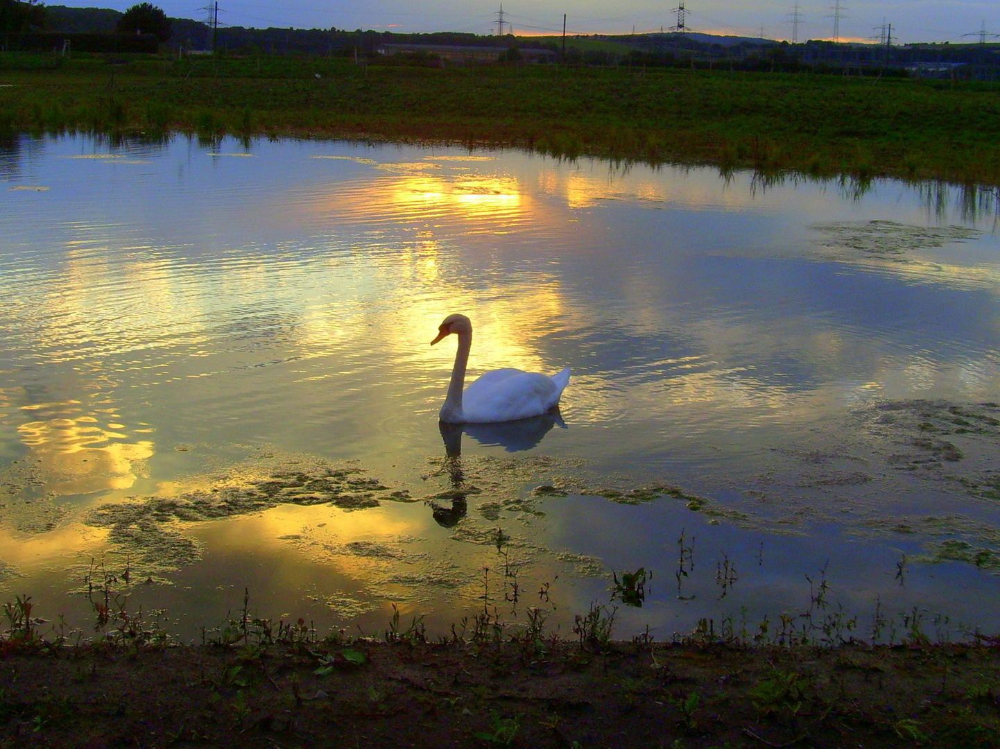 Abends am See