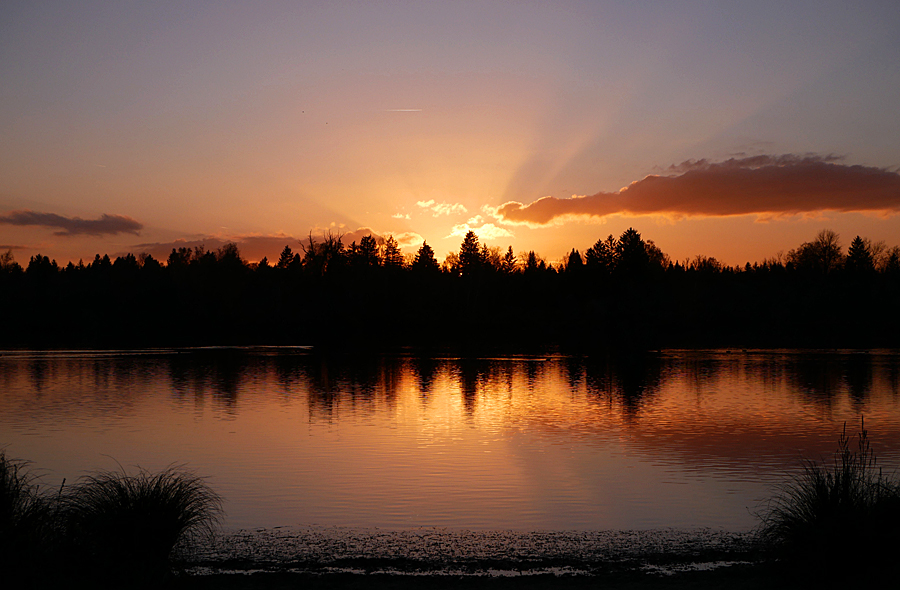 Abends am See...